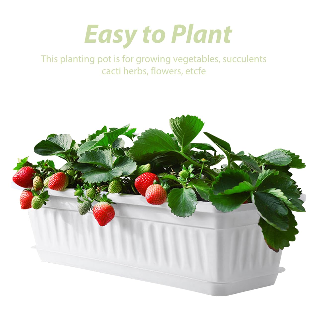 Healvian Rectangular Plastic Planter Pot 2 Pack with Drainage Saucers 5.5X7.4X5.5 Inches Indoor Outdoor Garden Vegetable Succulent Flower Box