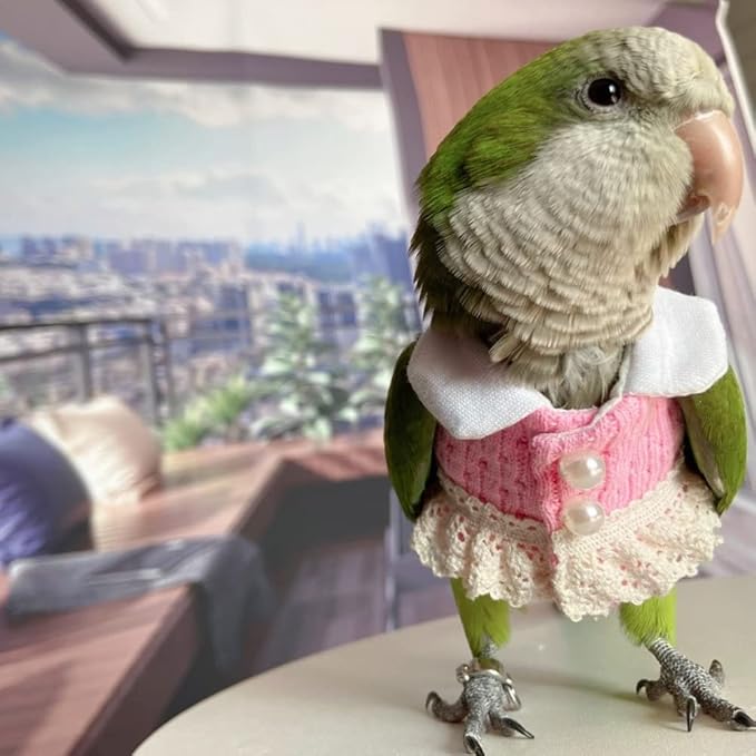 Bird Diaper Flight Suit - Pink Top Bird Clothes Cosplay Photo Prop for Parrots, Lovebirds, Parakeets, Cockatiels & Small Animals (Green Quaker)