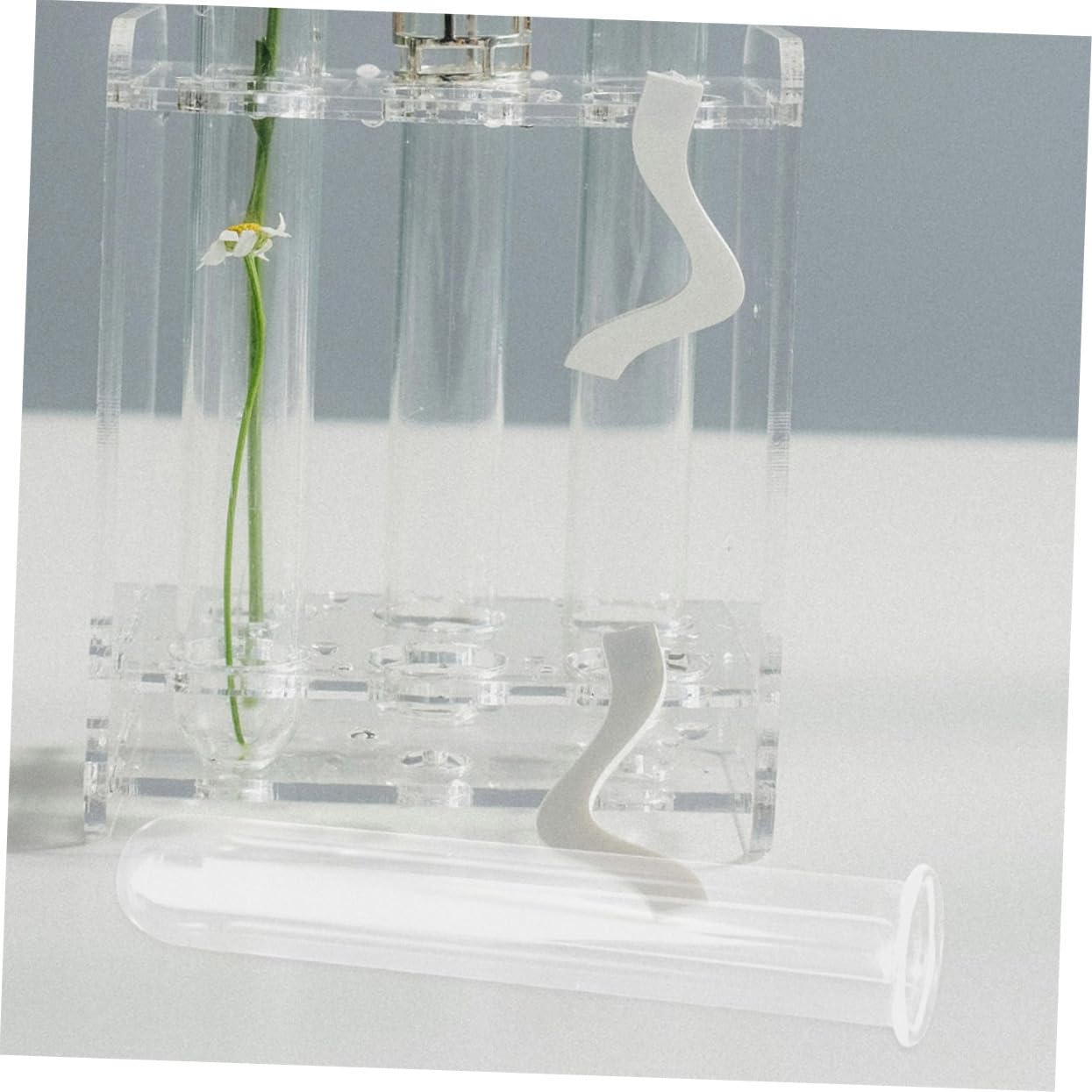 Alipis 5pcs Hydroponic Glass Test Tube Vases for Plant Propagation Transparent Glass Plant Vases for Home and Office Decor Sturdy Wear Floral Water Tubes Multi Use Desk Terrarium