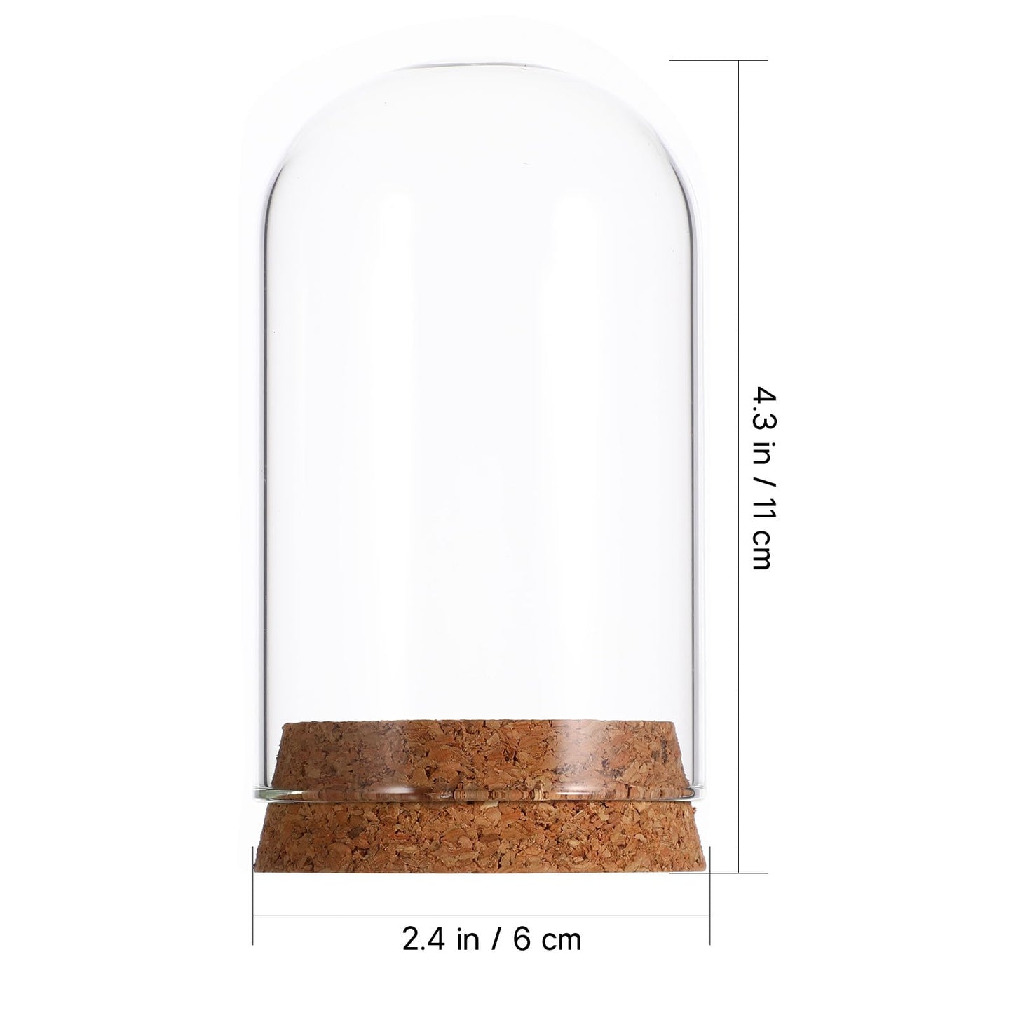 LIOOBO Glass Cloche Bell Jar with Cork Base, Tiny Display Dome for Eternal Flower And Micro Landscape, Clear Terrarium Container Bulk 5 Pack
