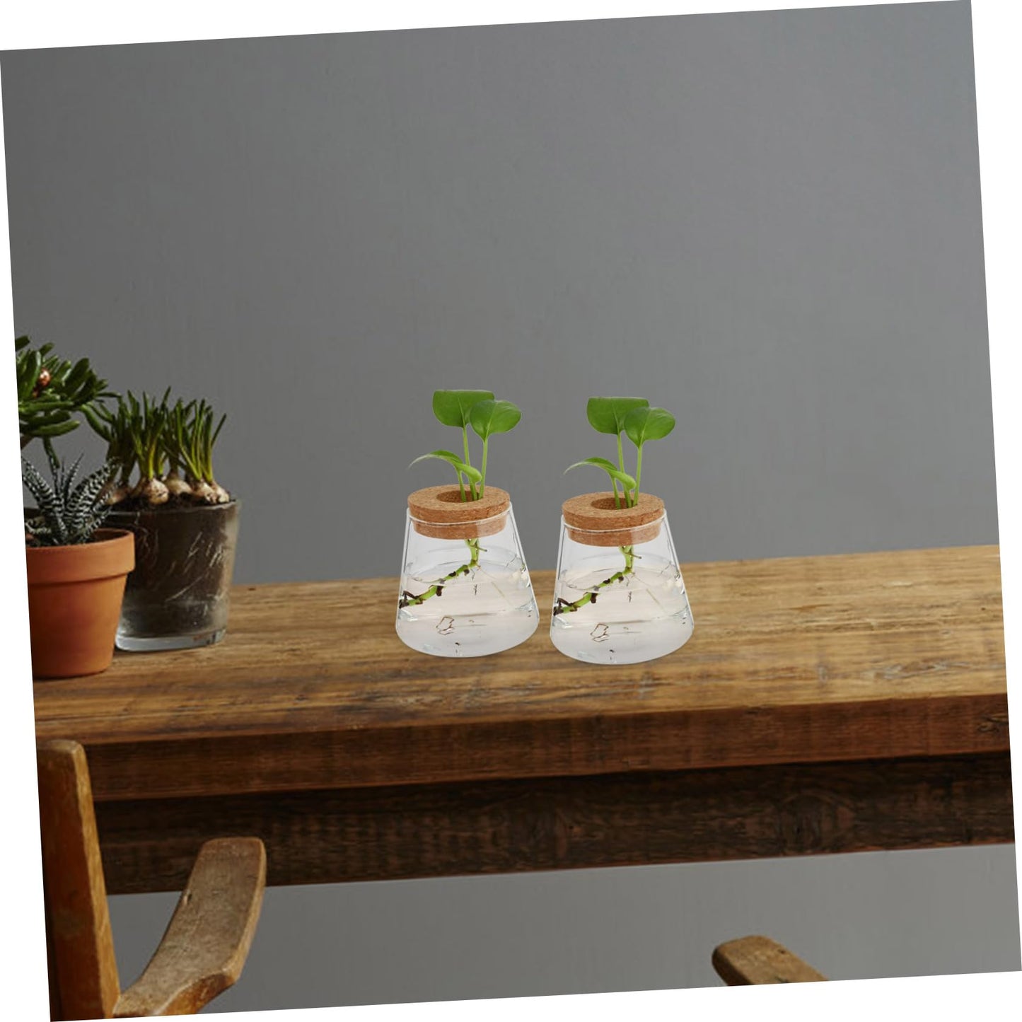 JUMPLAWN 2pcs Hydroponics Glass Planter Stylish Desktop Terrarium for Chic Water-Planting Vase for Indoor Gardening for Plant