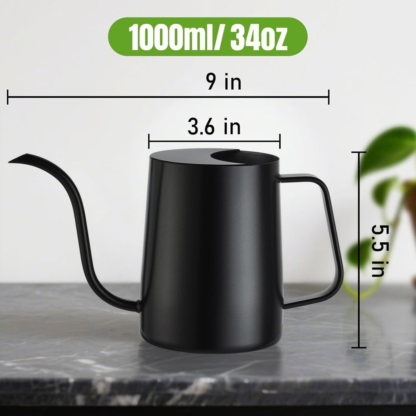Lizhluzh 34 oz / 1000 ml Watering Can Indoor Plants, Stainless Steel Plant Watering Can with Long Spout (Black)