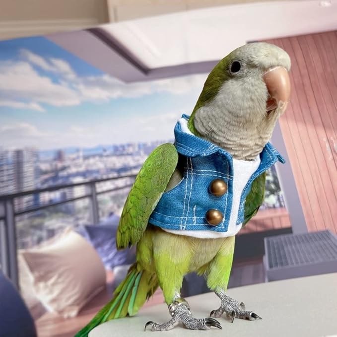 Bird Costume Bird Diaper Flight Suit Bird Jeans Fake Two Pieces Bird Clothes Cosplay Photo Prop for Parrots Lovebird Parakeet Cockatiel Small Animals Apparel (Without Diaper,Amazon)