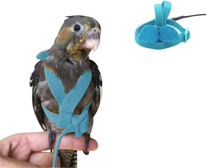 Bird Harness Parrot Leash -Adjustable Outdoor Flying Kit for Parrot Budgie Lovebird Cockatiel Macaw Parakeet (Blue,S)