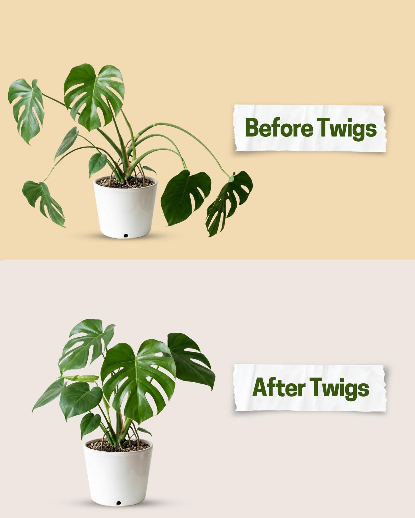 Twigs GA - Mini Twigs Plant Support Stakes for Small Plants, Indoor & Outdoor Use, Gardening Supplies, Garden Accessories, Trellis & Ring Alternative - Monstera (Dark Green), 10 Pack, 12" L