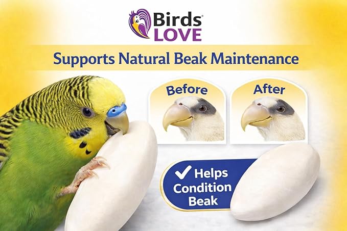 Birds LOVE 5.5-6″ Cuttlebone for Birds – 100% Natural Sun-Dried Calcium & Beak Conditioning Supplement for Parakeets, Budgies, Cockatiels, Finches & Canaries – 12 Pack with Holder – Made in Vietnam