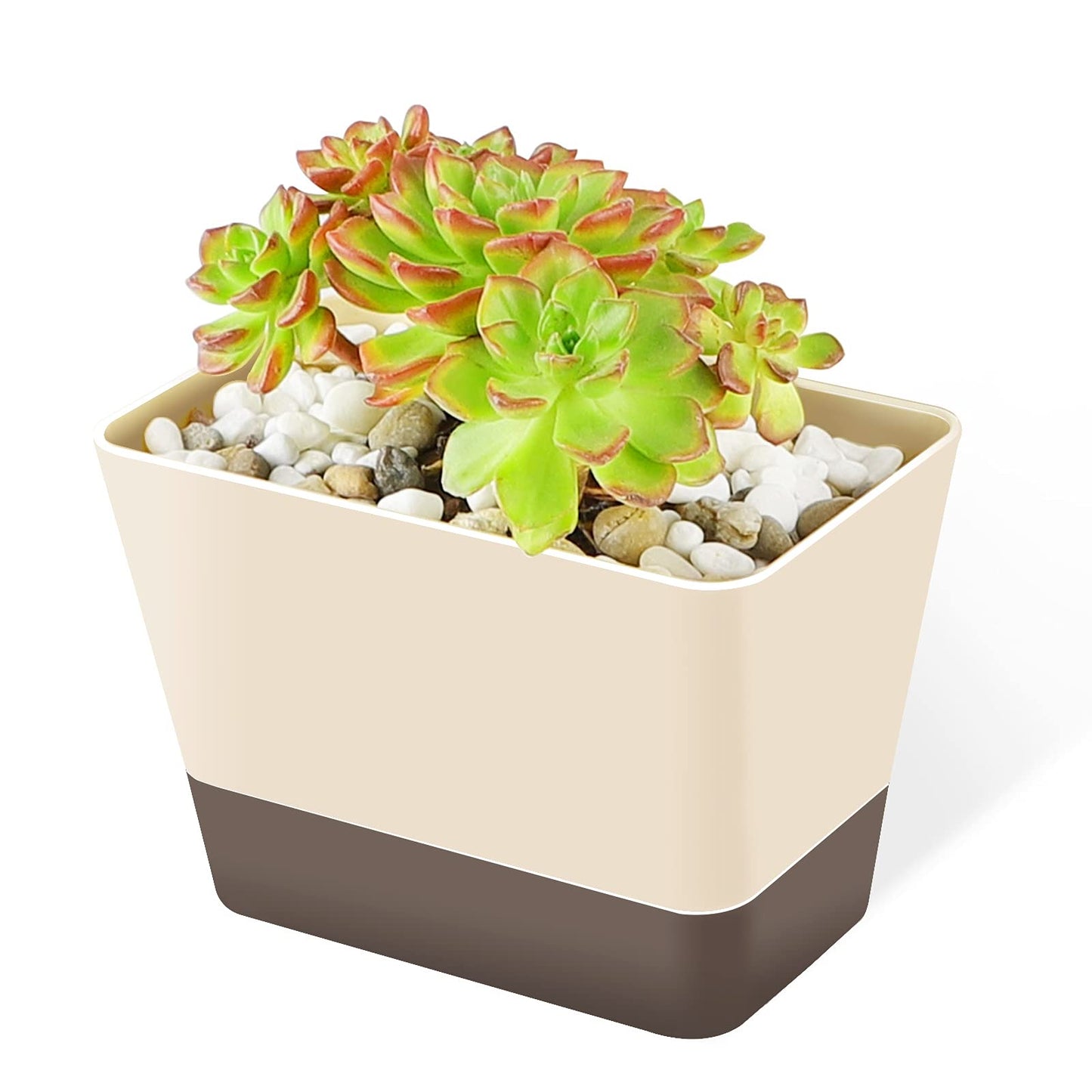 GREANER Planter Pot with Drainage, 1 Pack 6x3.8 Inch Herb Indoor Window Box with Tray, Modern Plastic Plant Flower Succulent Cactus Container for Windowsill, Garden Balcony, Home Office Outdoor Decor