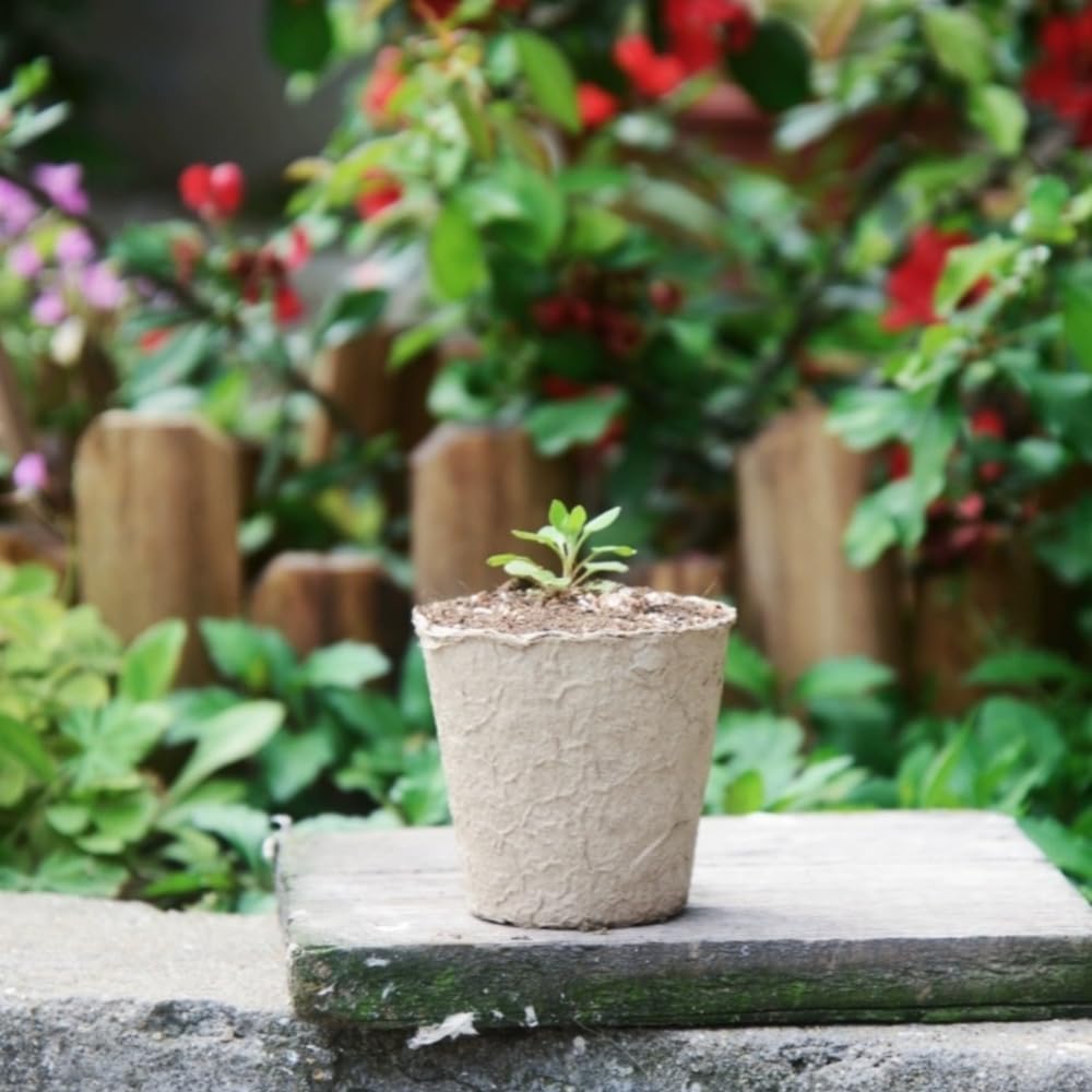 GardEasy 120PCS 3.15 Inch Peat Pots for Seedling, Outdoor Garden Germination Nursery Peat Pots Plants with Bonus 20 Plant Labels