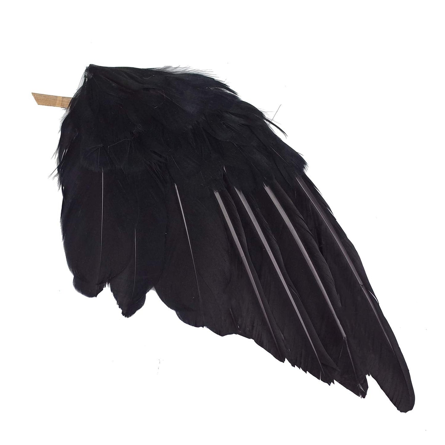 Etistta 2-Pack Realistic Crows Lifesize Extra Large Handmade Black Feathered Crow for Halloween Decorations Birds, L (13 inch+12 inch)