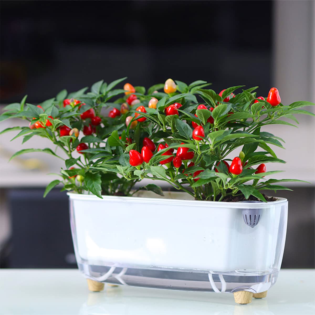 5 Pack Rectangular Planter 11.8 x 4.6 in Self Watering Planter Window Sill Planters Indoor Rectangle Planter Self Watering Pots Plastic Plant pots for African Violet Flower Orchid (Clear, 5)