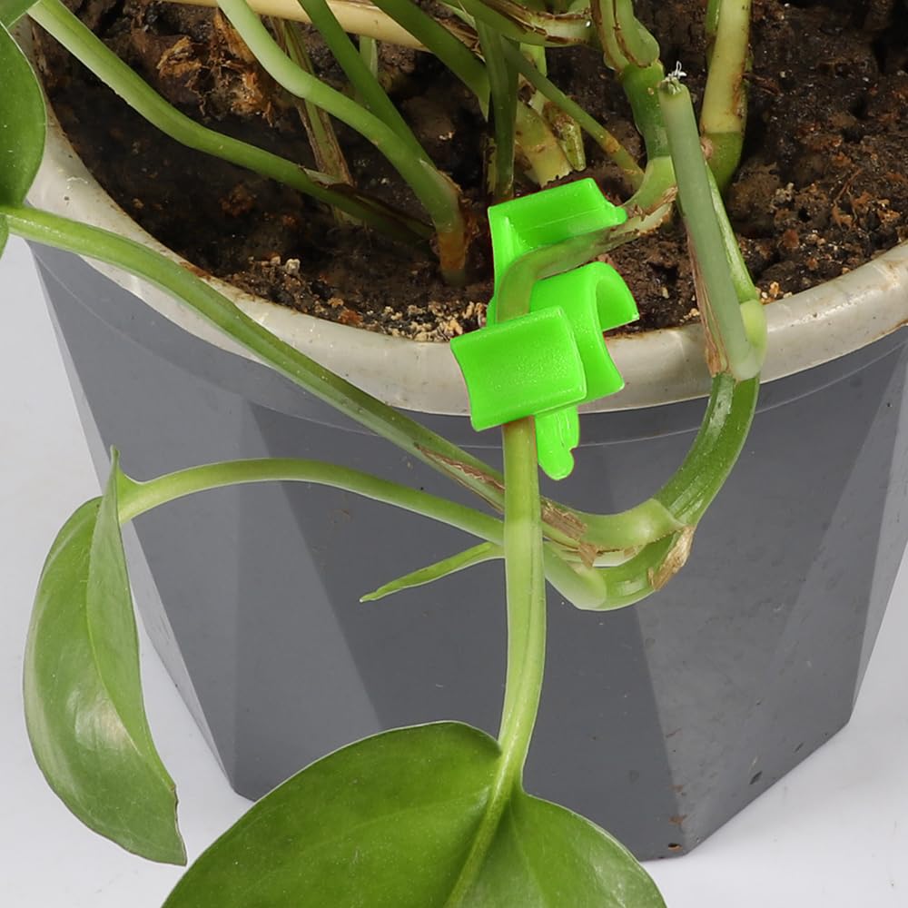 LucyPhy 30 Pack Plant Bender Angle Adjustable Plant Training Clips Low Stress Training Clips 90 Degrees Plant Stem(Circle Style,Green)