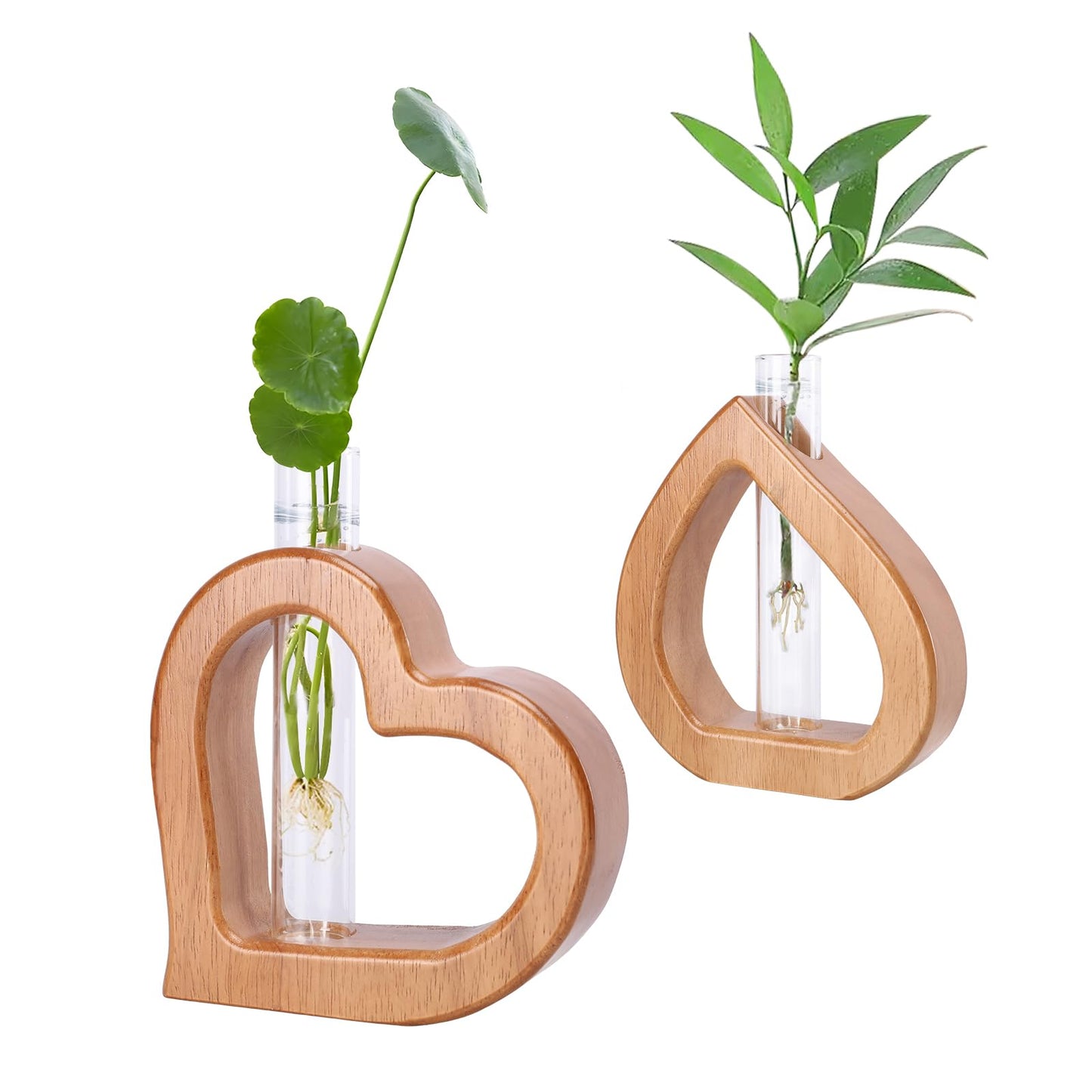 Chonsun Plant Propagation Stations 2 PCS Wall Hanging Planters for Indoor Plants Glass Tubes Home Decorations Gifts Terrarium Plants Live
