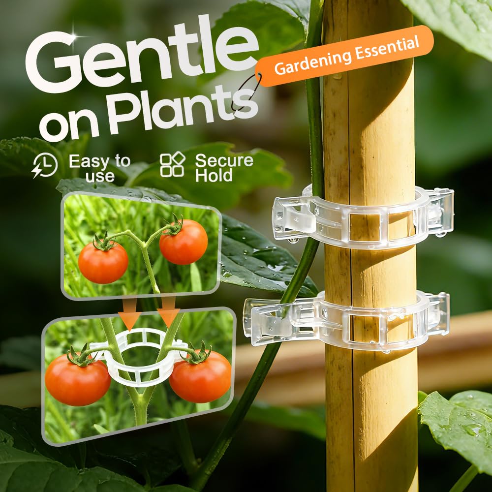 DSACL Plant Support Clips, 2026 Upgraded Tomato Plant Clips for Climbing Plants, Reusable Plastic Garden Clip for Grape Cucumber Stems Outdoor Vine Fixing Clip Gardening Supplies (50, White)