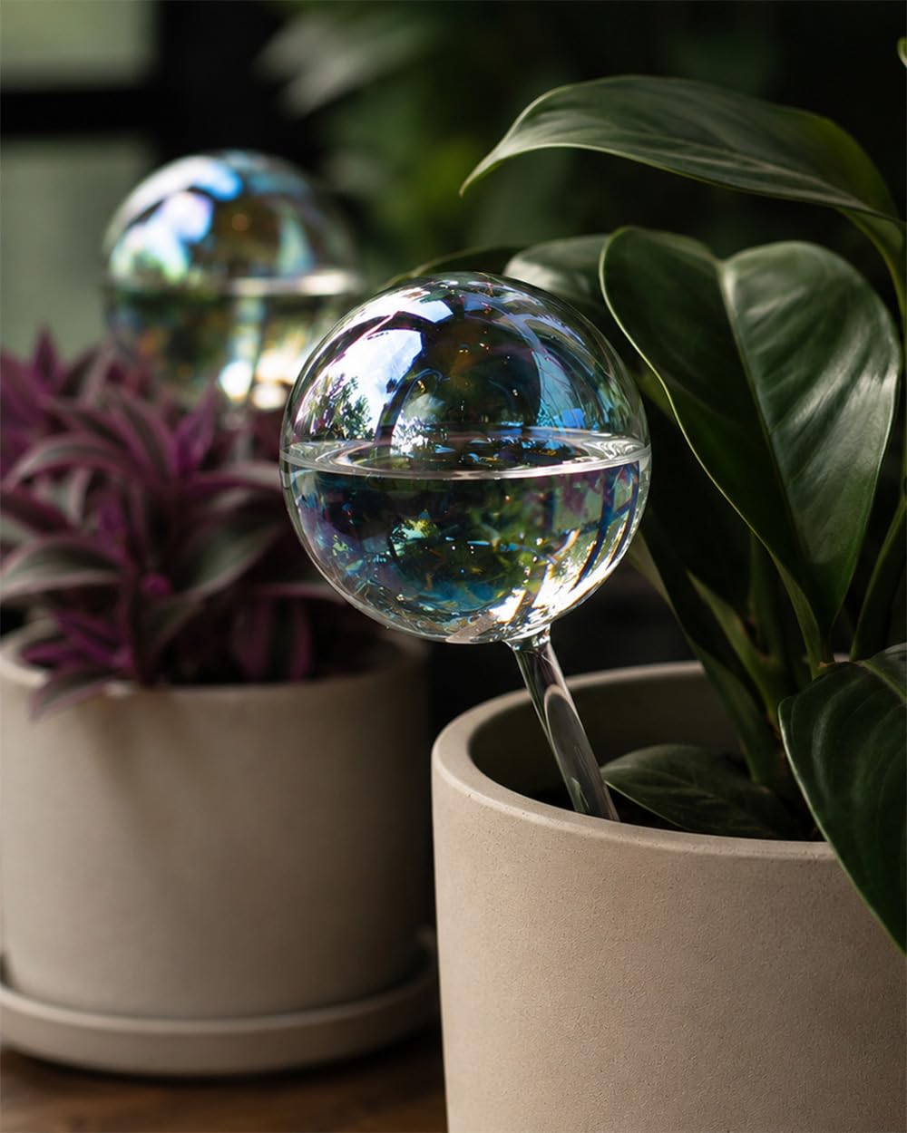 2Pack Iridescent Glass Self Watering Globes for Plants, 14 fl oz Automatic Plant Watering Bulbs Decorative Glass Plant Waterer