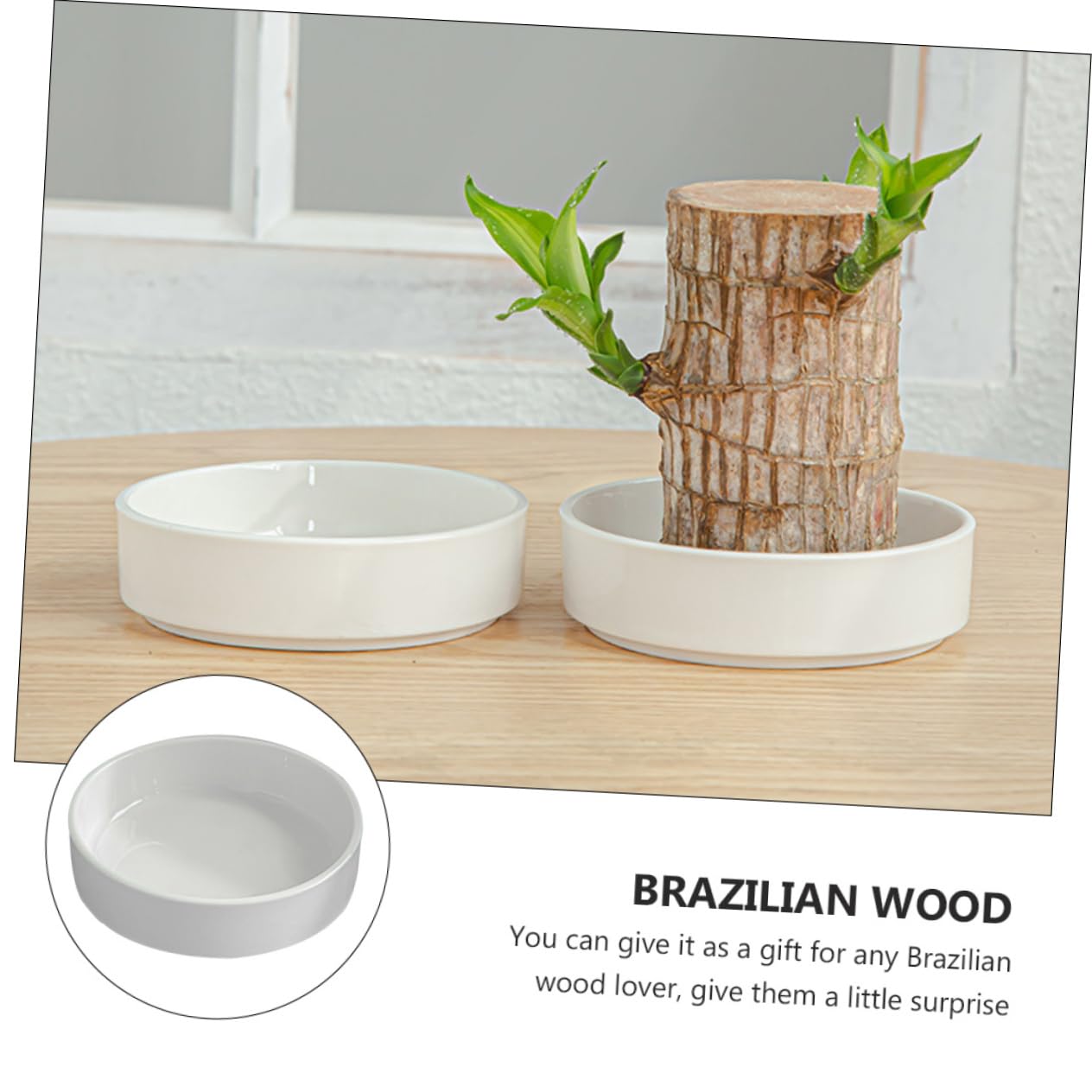 OFFSCH Ceramic Plant Tray for Brazilian Wood Pot 2Pcs - Decorative Saucer for Home and Office Easy to Clean Prevents Water Spillage