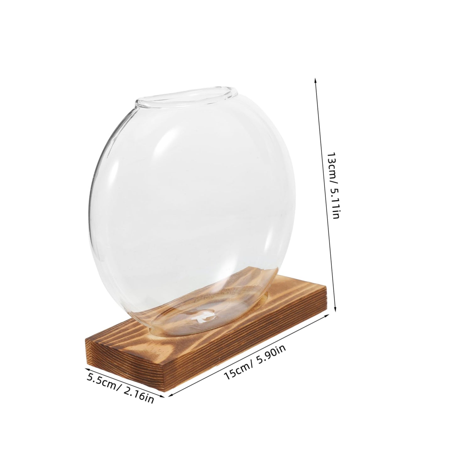 ANDRESLAD Hydroponic Vase with Wooden Base Transparent Glass Plant Propagation Station for Indoor Plants Terrarium Small Desktop Planter Root Observation Decorative Home Decor