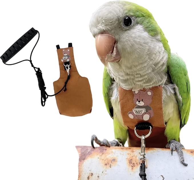 Bird Diaper Harness Flight Suit Clothes, Parrot Flight Suit with Leash for Parrot, Bird Flying Clothes with Rope and Handle for Outdoor Activities Training (Senegal,with Leash)