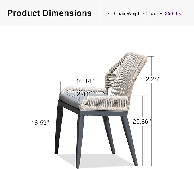 PURPLE LEAF Patio Dining Chair Set 2 Pieces Aluminum Modern Furniture Seating