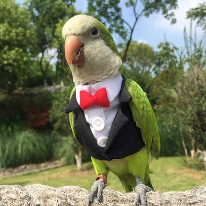 Bird Clothes Birds Flight Suit,Tuxedo Business Suit for Parrots African Greys Parakeet Cockatiel Sun Conure Christmas Party Birthday Cosplay Photo Prop Small Animals Apparel (5XL,Black Suit)