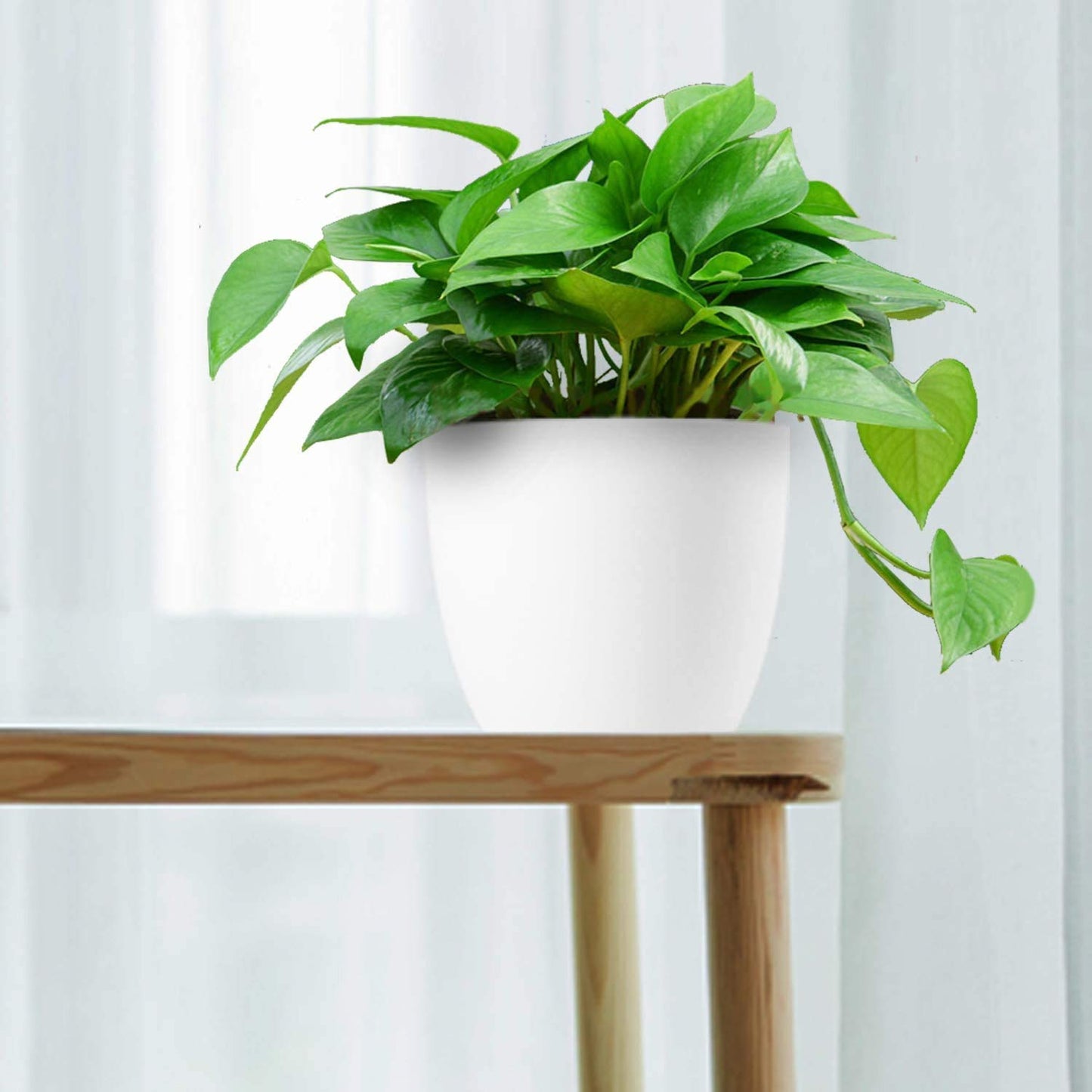 T4U Self Watering Planters Plastic 6 Inch White Set of 10, Plant Flower Pot Modern Decorative Seeding Nursery Pots Outdoor Indoor Garden for All House Plants Flowers Herbs African Violets