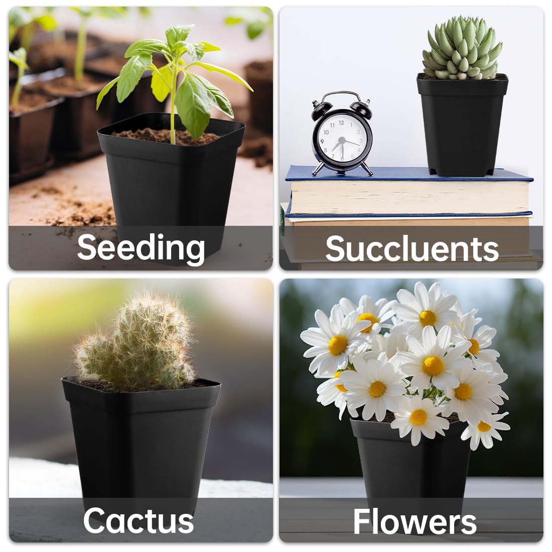 BTPLASTIK Small Plant Pots 3.5 Inch, 120 Pcs Nursery Pots with Drainage Holes, Durable Plastic Succulents Pots for Seedlings, Cuttings (Black)