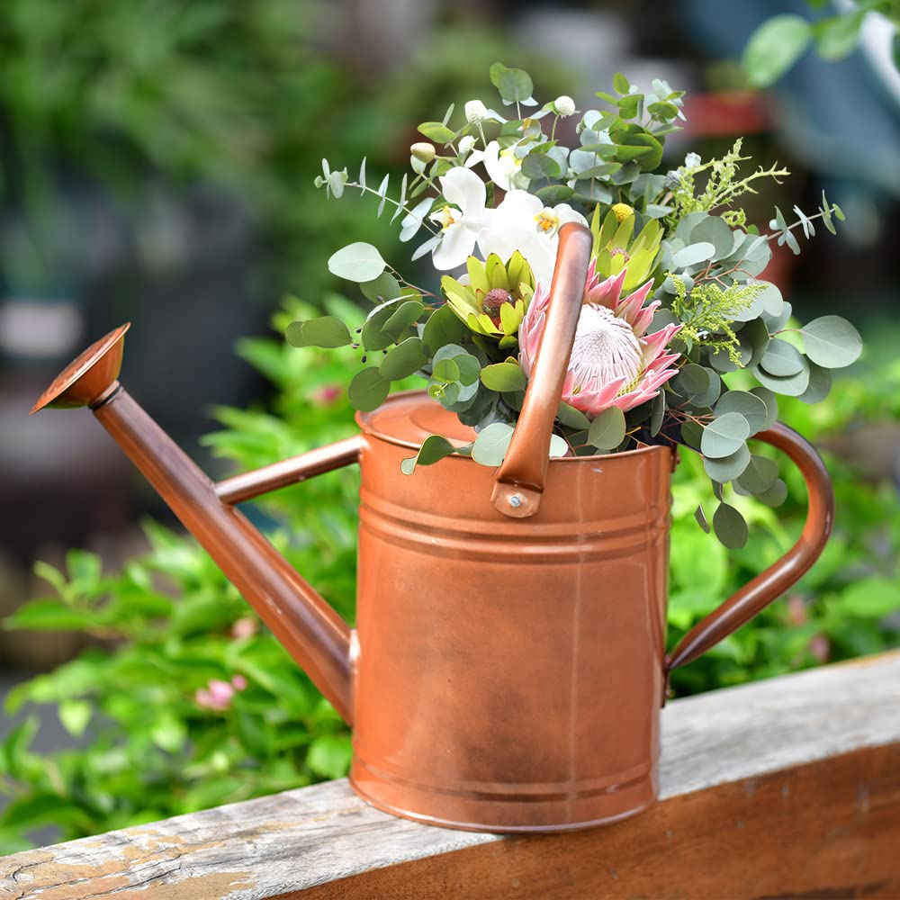 SunnyTong Metal Watering Can for Outdoor and Indoor Plants, Watering Can Decor, 1 Gallon (1 Gallon Copper)
