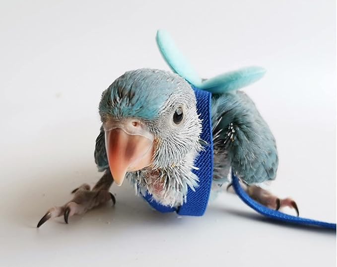 Pet Parrot Bird Harness Leash Adjustable Bird Flying Harness Traction Rope with Cute for Parrots Budgerigar Lovebird Cockatiel Mynah Outdoor Training Toy (Mannikin/Finch,Blue)