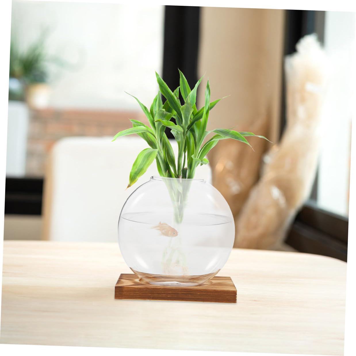 TINEASUR Propagation Glass Vase Set with Wooden Stand, Hydroponic Plant Holder for Indoor Desk, Desktop Planter for Root Observation and Plant Cultivation, 2pcs Home Office Terrarium