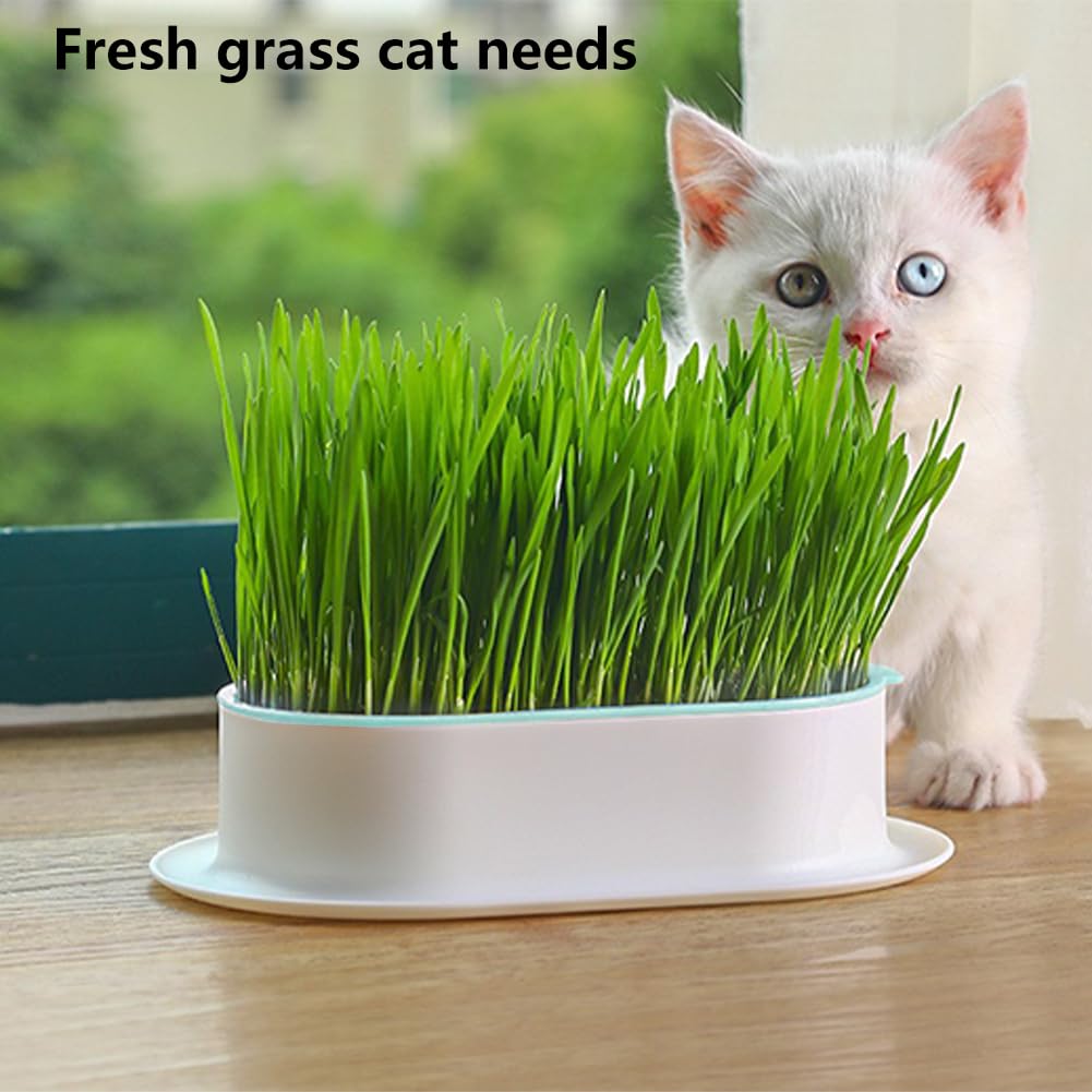 Londehuhai 3pcs Cat Grass Planter, Plastic Catnip Cat Grass Box Wheatgrass Planting Trays Hydroponic Ca-t Gras-s Growing Kits Nursery Ca-t Plant Garden Pots for Indoor/Outdoor Use(Color:3)