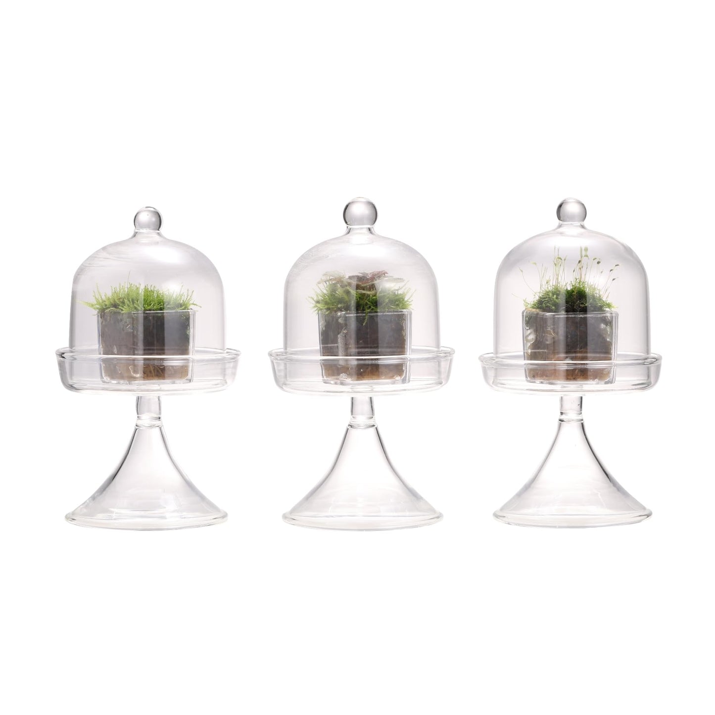 NCYP Mini Glass Bell Dome with Stand and Tiny Cube Planter for Display Jewelry, Ring, Small Plant - (3-Pack) 2.7" x 2.7" x 5" Little Cloche Set, Indoor Decor (Plants Not Included)