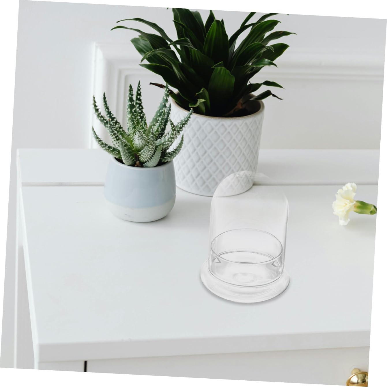Alipis Mini Landscape Bottle Lid DIY Moss Eco Terrarium Glass Container for Home Decor Suitable for Succulent Plants and Micro Landscapes