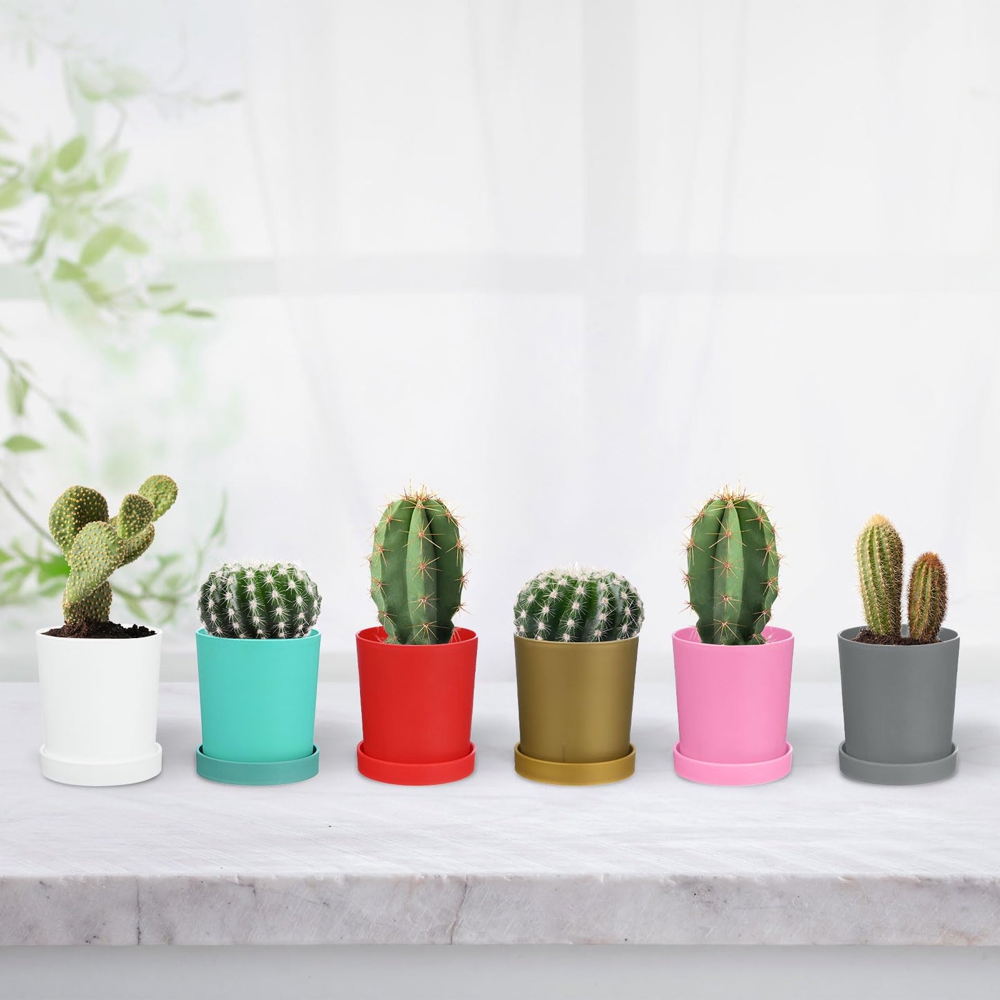 M METERXITY 2-Pack Plant Pots, 4.5 Inch Plastic Flower Pots with Drainage Holes for Cactus/Succulents Pot/Small Plants/Home/Garden, Planters for Indoor Plants [Aqua]