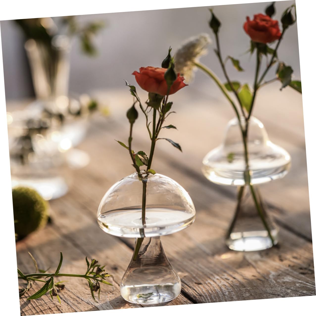 BESPORTBLE 2pcs Glass Mushroom Flower Vases Hydroponic Plant Terrariums Decorative Floral Containers for Home Office Living Bedroom Kitchen