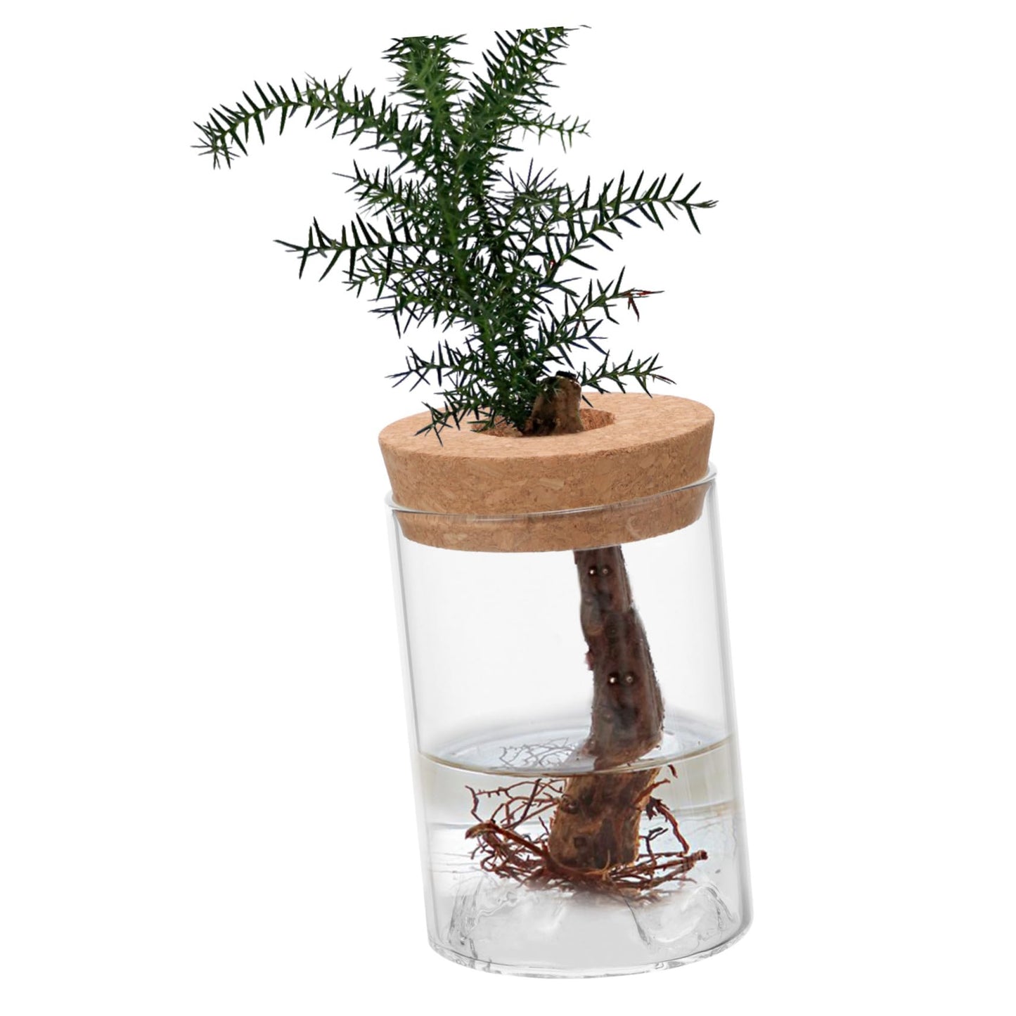 Yardenfun DIY Plant Terrarium Vase Glass Flower Holder for Bookshelf Decor Flower Arrangement Container