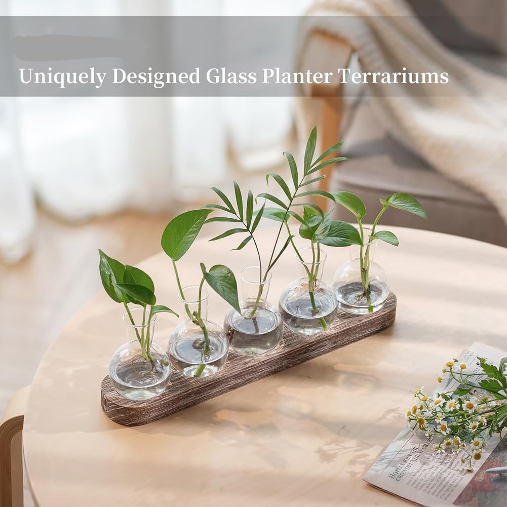 Beranosoer Propagation Station Glass Vases Decoration: 5 Plants Terrarium with White Washed Wooden Tray for Living Room