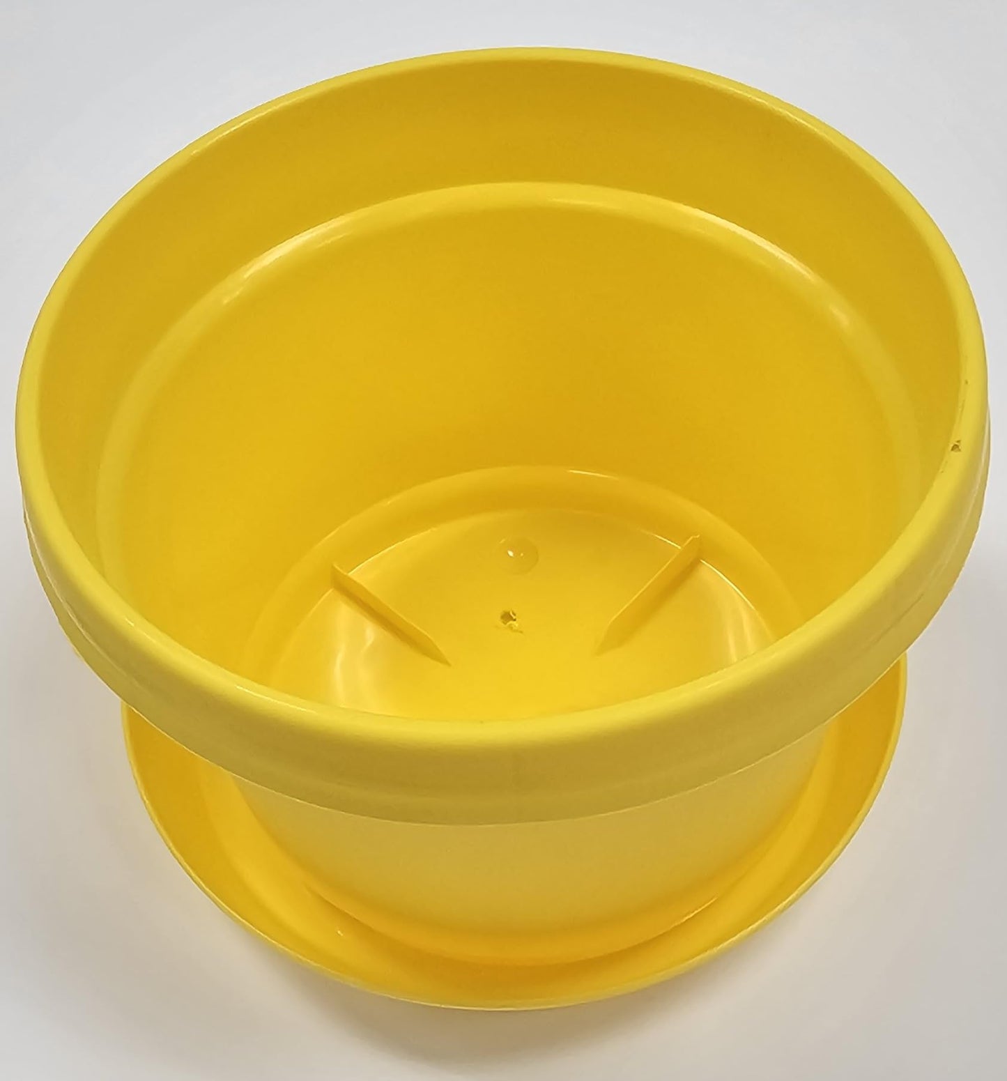Austin Planter Single Pot with Saucer, 9 inch Yellow, Plastic Flower Pot with Saucer, Seedlings Planter, Nursery Planter, Colorful Flower Planter, Seed Starting Pot