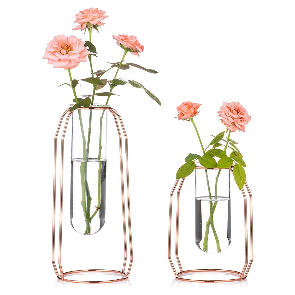 Vases Set of 2 Glass Vases with Metal Frame, Modern Rose Gold Frame Cylinder Clear Vase Planter Terrariums, Flower Holder Decorations for Wedding Living Room, Office, Party (Rose Gold, S+L)