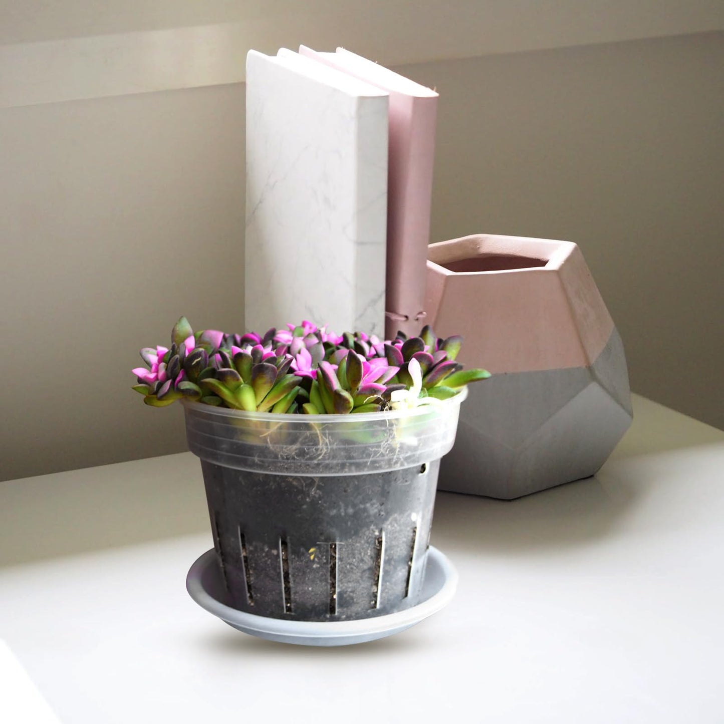 Toddmomy Transparent Plastic Flower Pot with Vent Holes and Tray 6.37X6.37X5.11 Inch Clear Planter for Indoor Gardening Orchid Bonsai and Nursery Use