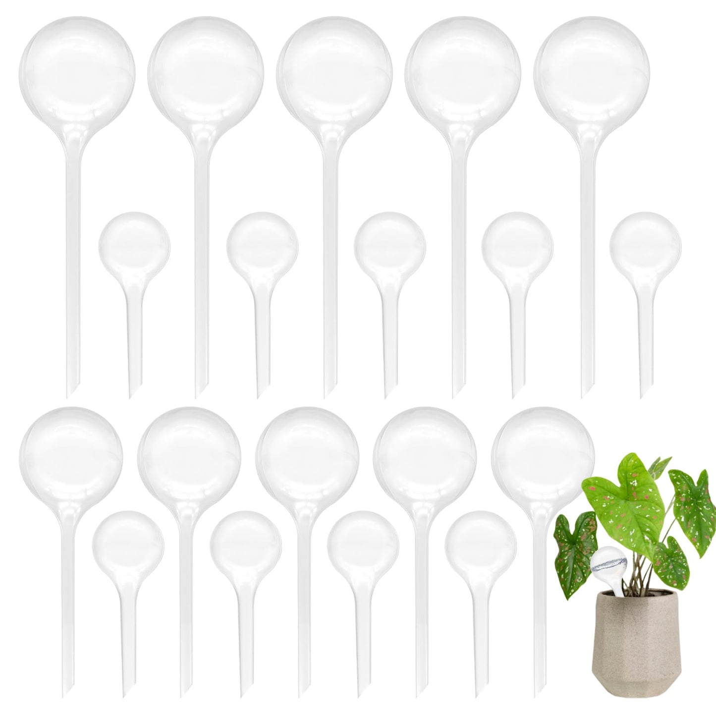 Cmaqpw 20 PCS Plant Watering Globes,Plastic Clear Watering Bulbs,Self Watering Flower Automatic Watering Device for Home Garden Plants Indoor,Outdoor,Flowerpot,(Large,Medium,Small)