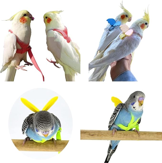 Birds Adjustable Harness and Leash, Parrot Outdoor Flying Training Traction Rope Straps with Cute Wing for Small Animal, Parrots, Pigeons, Bird Flight Vest, Pet Training Leash(Pink,M)