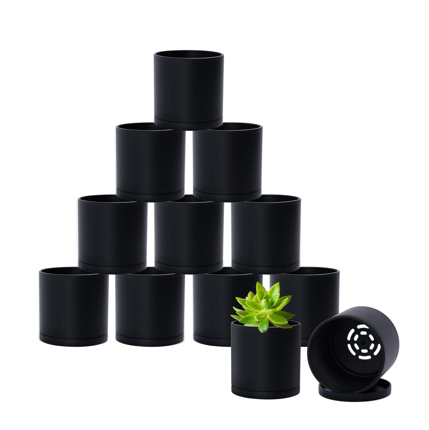 D'vine Dev 12 Pack 3 Inch Mini Plastic Plant Pots, Small Garden Planters for Plant with Drainage Holes and Saucers, Black Color, 74-Y-C-4