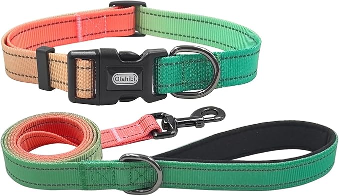Dog Collar Leash Set, Gradient Color, with Safety Reflective Strips, 5 ft Matching Leash, Neoprene Padded Handle, Adjustable 4 Sizes for Small Medium Large Dogs.(L, Green Orange)