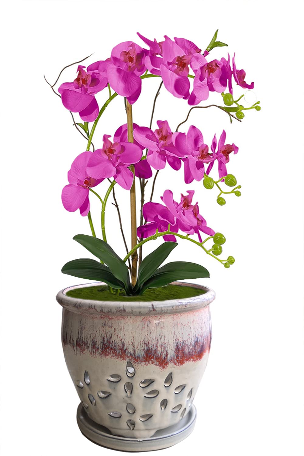 Beitewei 7inch Orchid Pots with Holes Round Ceramic Flower Container Succulent Plant Planter Butterfly Pot Saucer Windowsill Contemporary Home Decoration (Orange Over Cream)