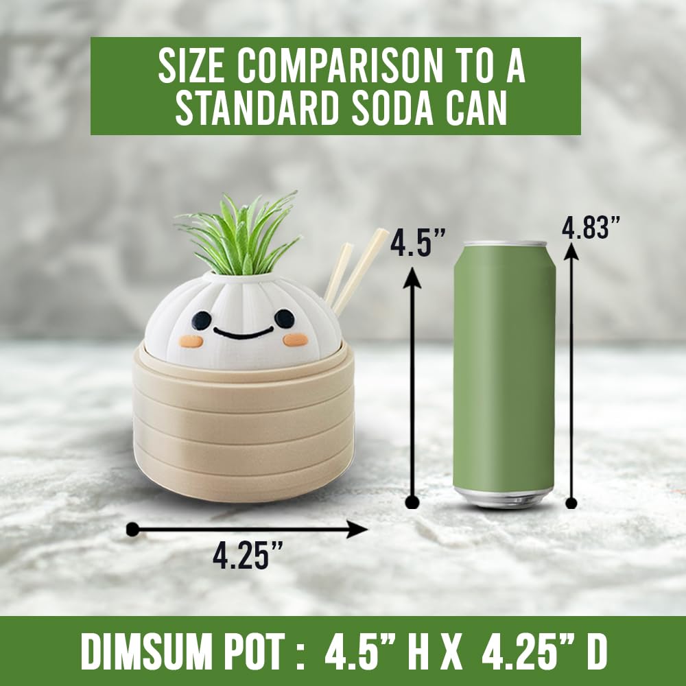 Mivi Collection Kawaii Dimsum Succulent Plant Pot, Cute Dumpling Desk Planter, Mini Bamboo Basket, Small Office Gift, Asian Food Decor, Unique Gift Idea