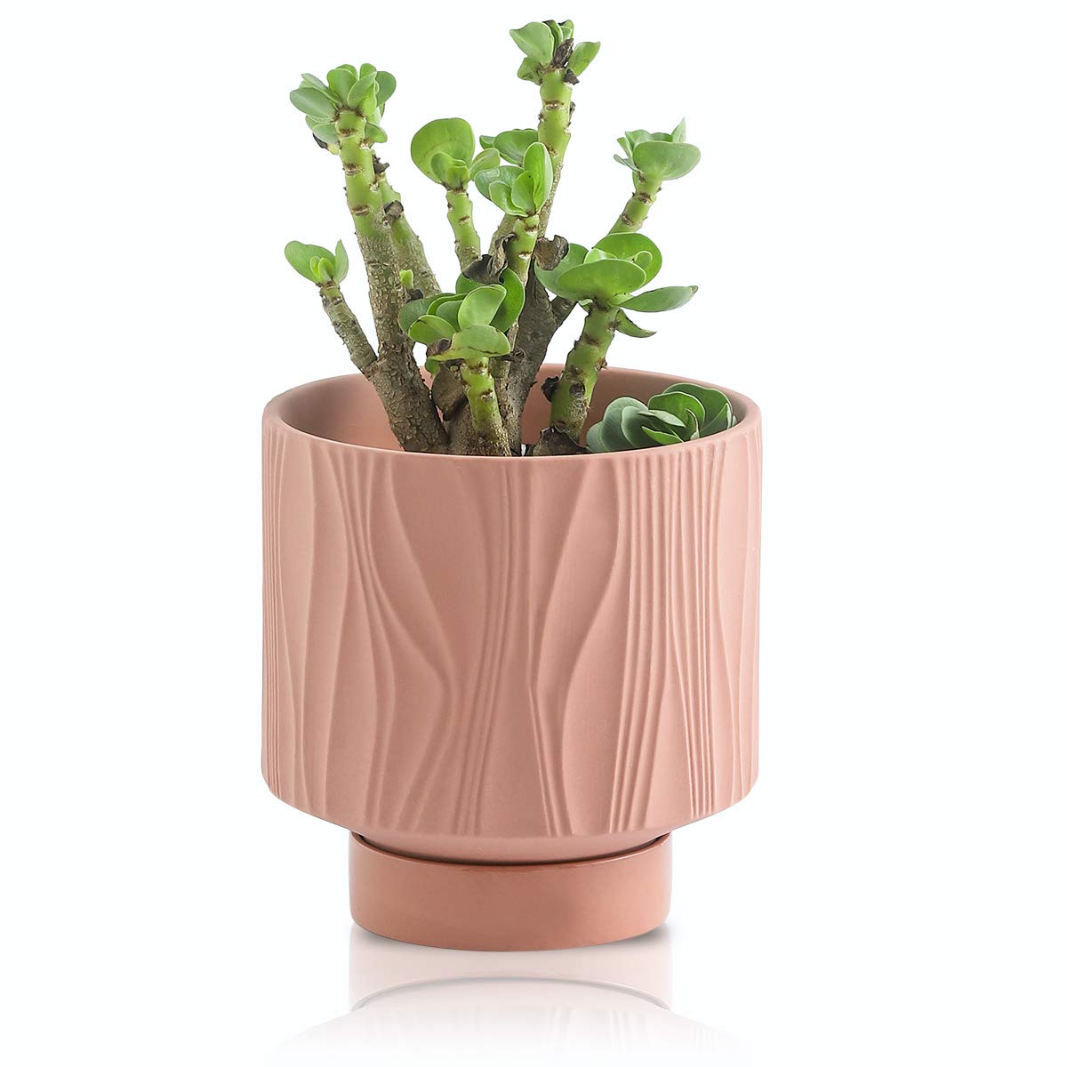 UBEE Ceramic Plant Pots for Indoor Plant, 5.5 inch Succulent Pot with Drainage Hole and Saucer, Flower Pot for Garden Home Desktop Office, Terracotta