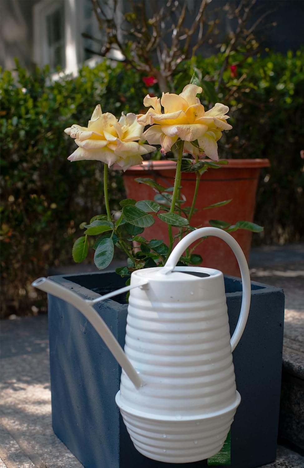 HORTICAN Small Watering Can, Matte Cream White, 34oz., Metal Watering Can with Long Spout, Nice Indoor Water Can, Plant Water Can for Indoor Plants