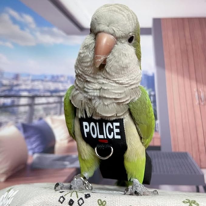 Bird Clothes Parrot Diapers Bird Flight Suits, Reusable Waterproof Diapers pet Bird Supplies (XL)