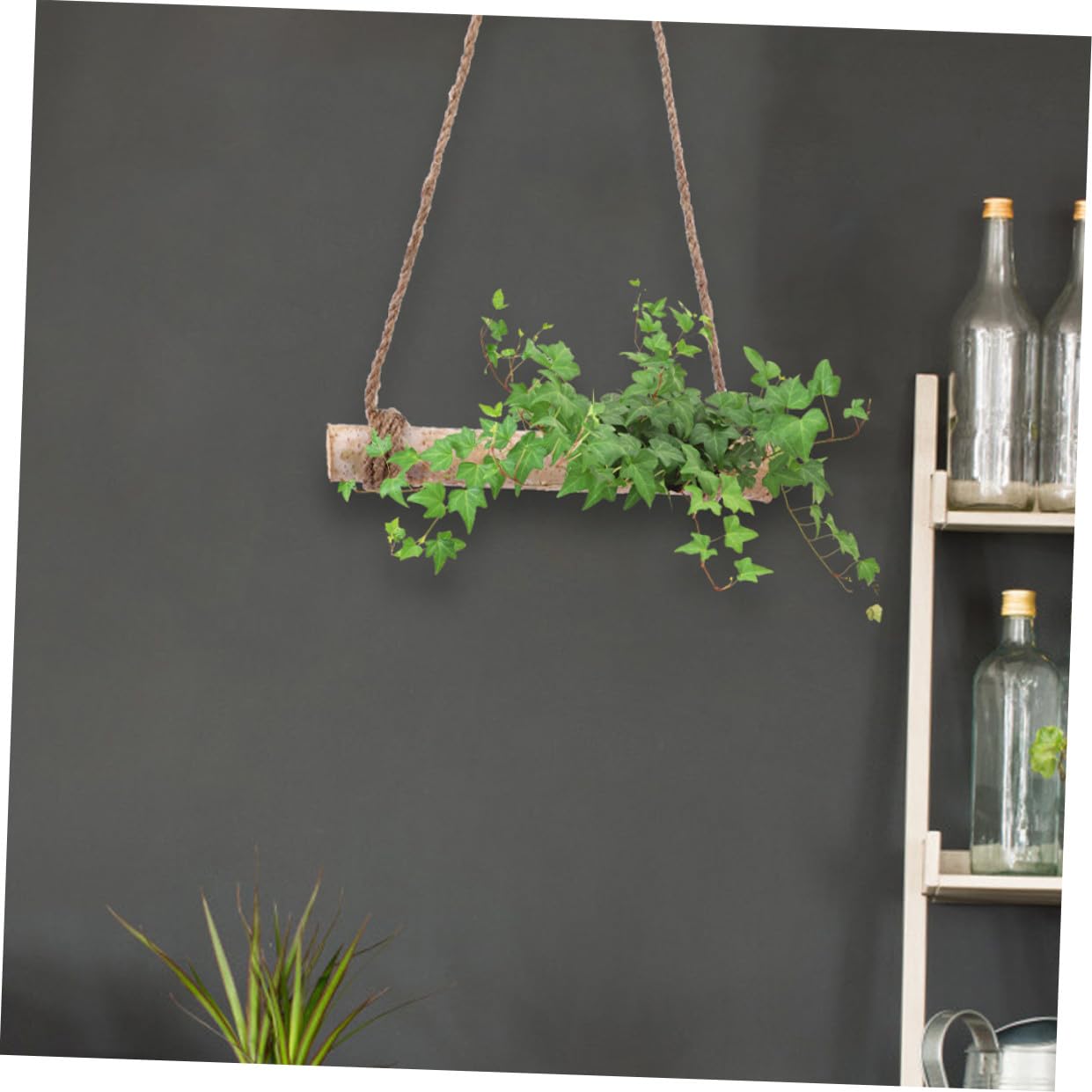 Yardwe 2sets Driftwood Wall Decor Plant Hangers Wooden Ornament for Rustic Farmhouse Beach Theme Garden Wedding Decor