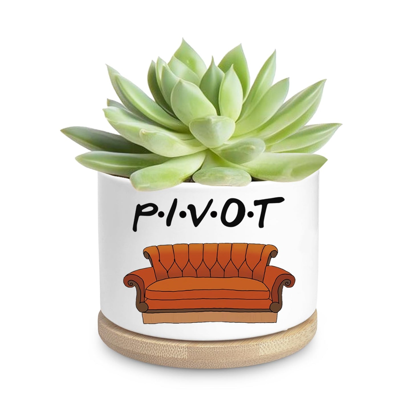 Ywkuiev Succulent Planter, Flower Cactus Plant Pot, Friends Merchandise, Funny Friendship Decor Gifts for Women Men Friends Sister Bestie Housewarming Gift (Plants Not Included)