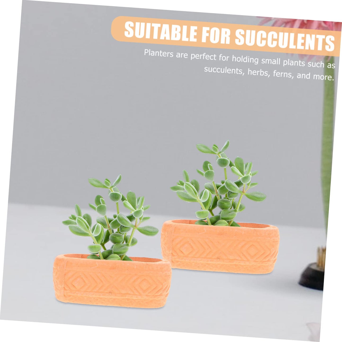 ORFOFE Mini Ceramic Nursery Pots 6-Pack Lightweight Plant Containers with Drainage Holes for Seedlings Succulents Indoor Gardening 1.88X0.70X0.70In